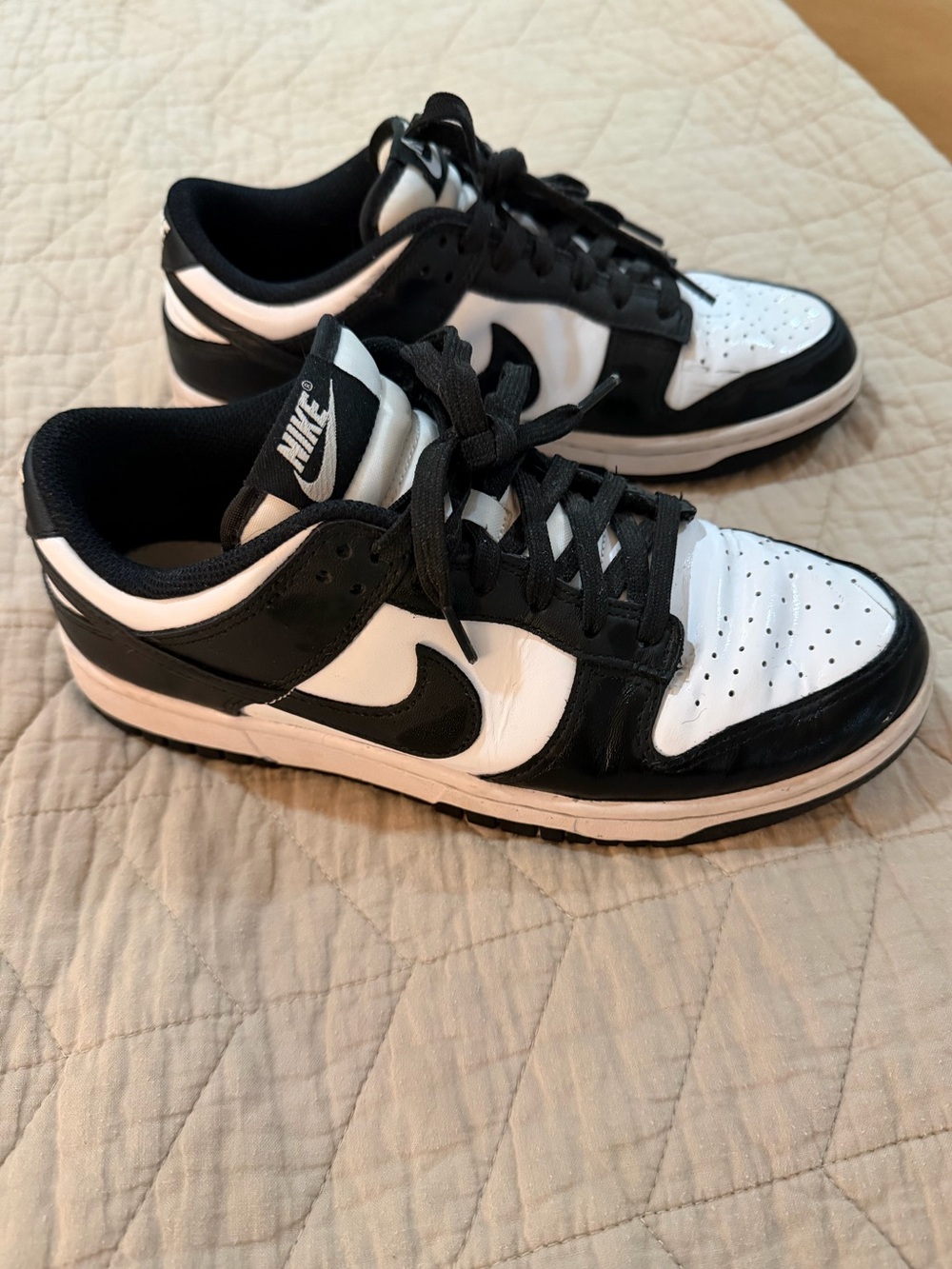 Nike Dunk Low Sneakers